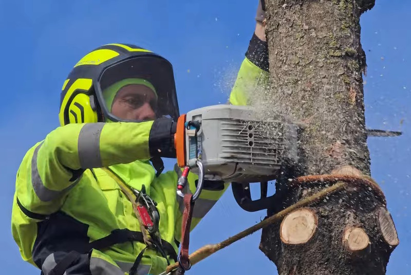 Профессиональный спил деревьев
