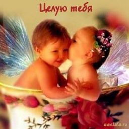 Сергей Викторович